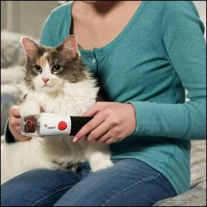 Inicio lijador eléctrico de uñas para mascotas silencioso